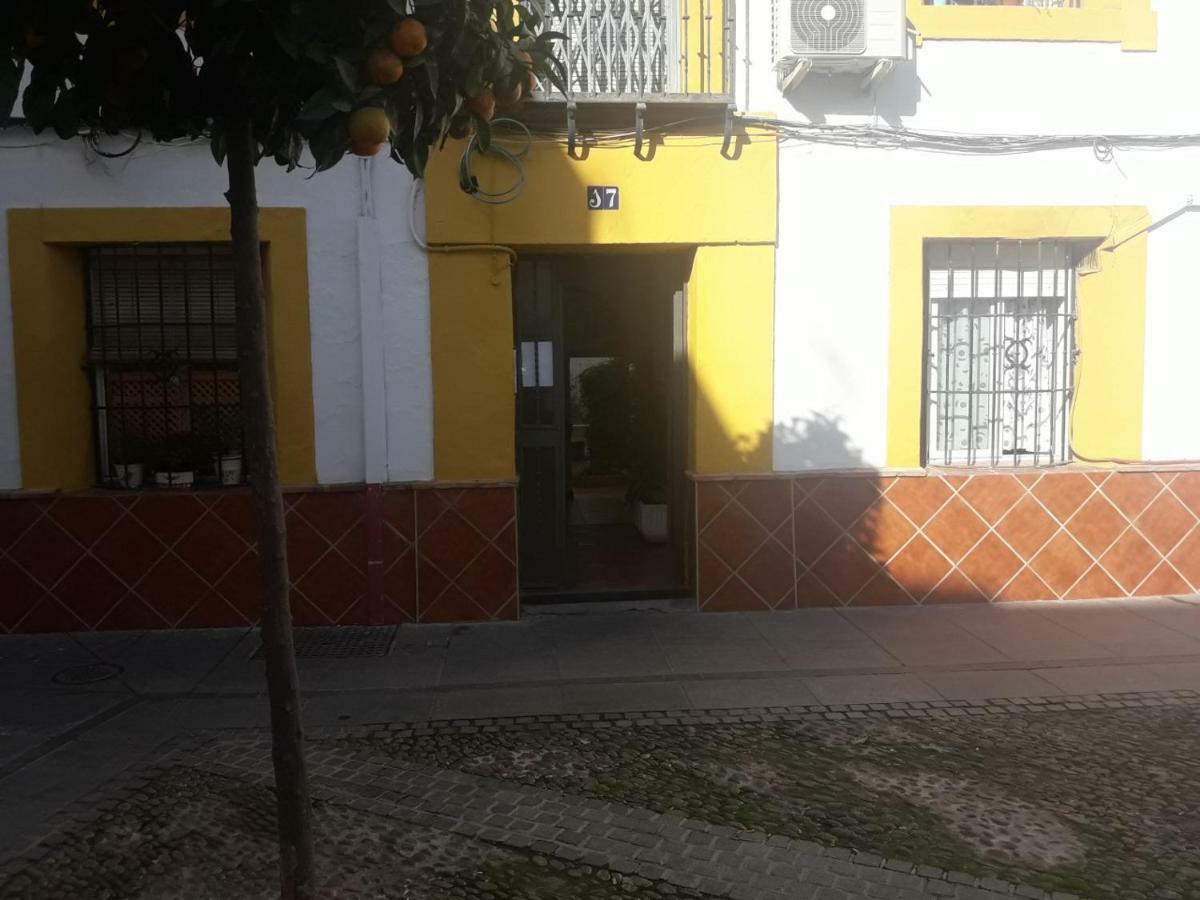 Sleep & Shower In A Typical District Cordova Esterno foto